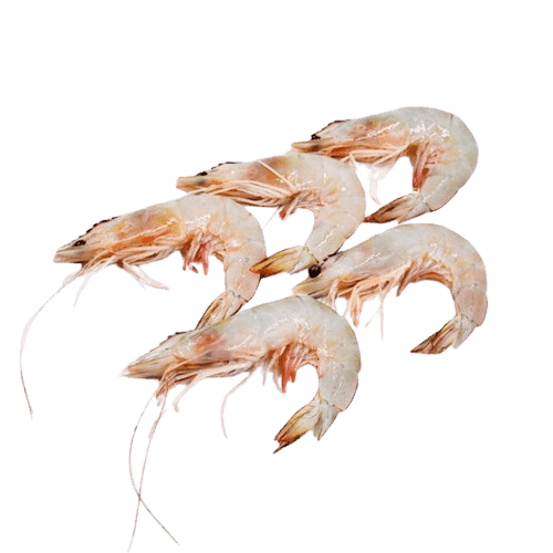 SHRIMP