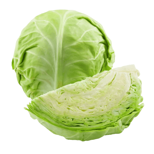 CABBAGE