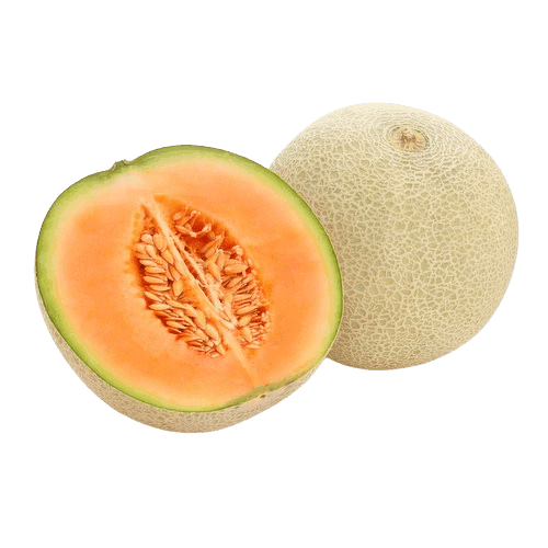 CANTALOUPE