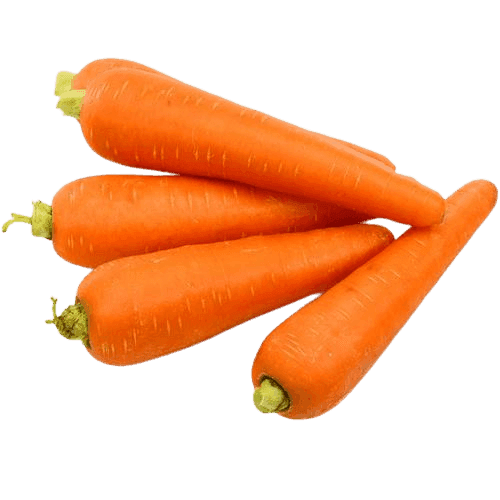 CARROT