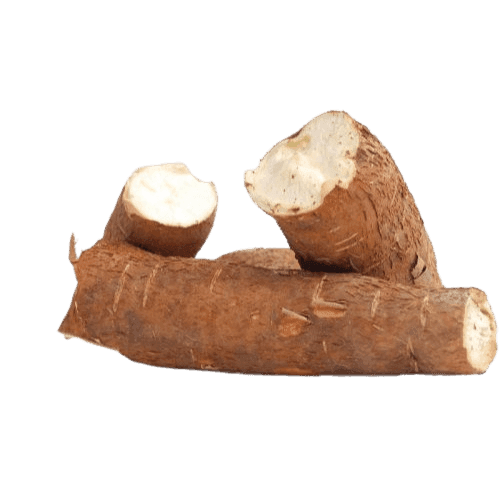 CASSAVA