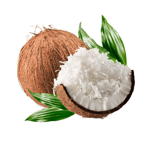 COCONUT