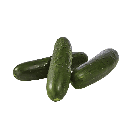 CUCUMBER