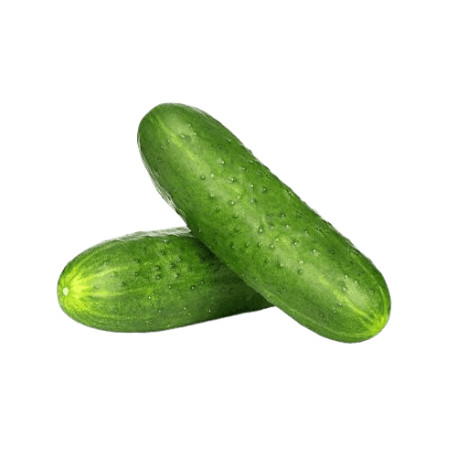 CUCUMBER