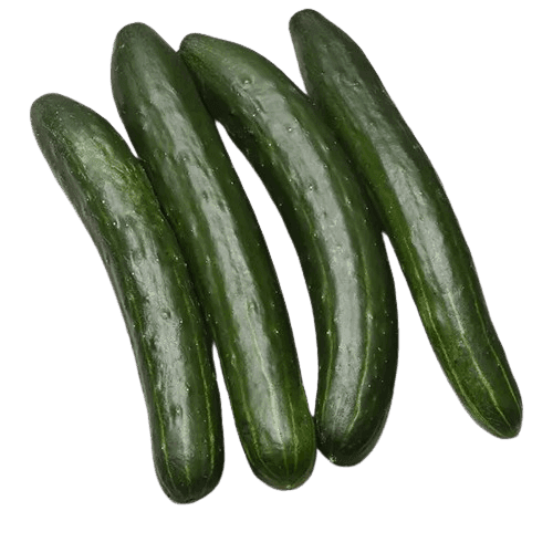 CUCUMBER