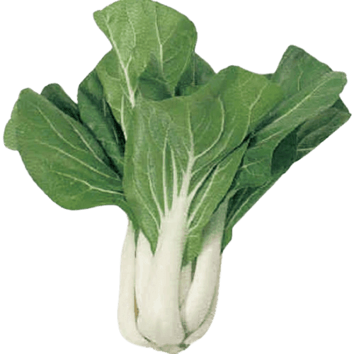 PATCHOI