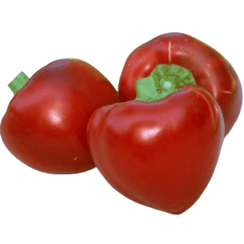 PIMENTO PEPPER