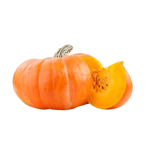 PUMPKIN