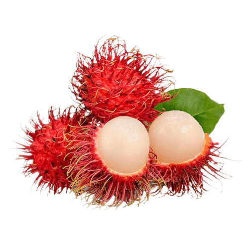 RAMBUTAN