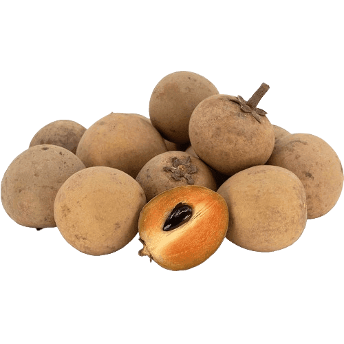 SAPODILLA