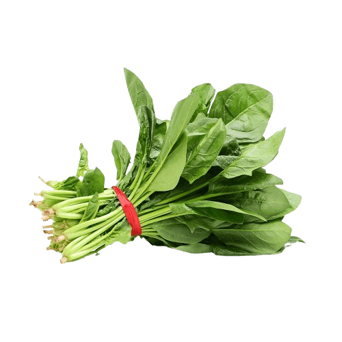 SPINACH